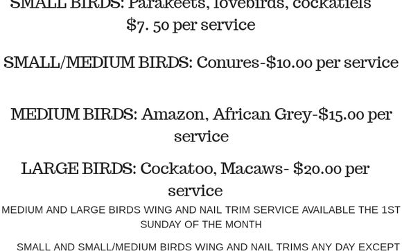 Bird Wing and Nail Trim by Species Pet Supply