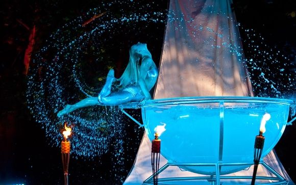 Cirque Entertainment & Circus Performers by Aerial Artistry