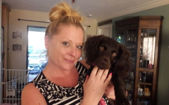 Pet training, pet sitting, dog walking by Naples Top Dogs.  Naples Premier In-home Training