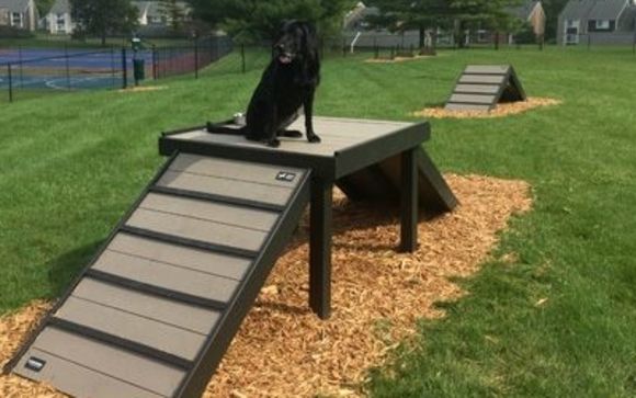 Dog Themed Bones Park Bench  All About Doody Pet Solutions