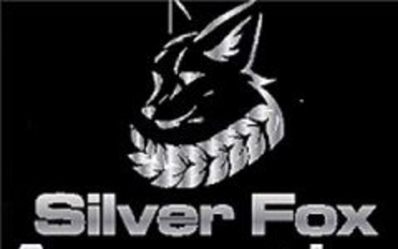 Free Tax Advice by Silver Fox Accounting