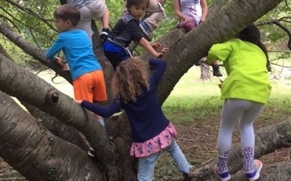 Voyagers Summer Camp Ages 3 4 And 5 14 By Voyagers Community School In Eatontown Nj Alignable