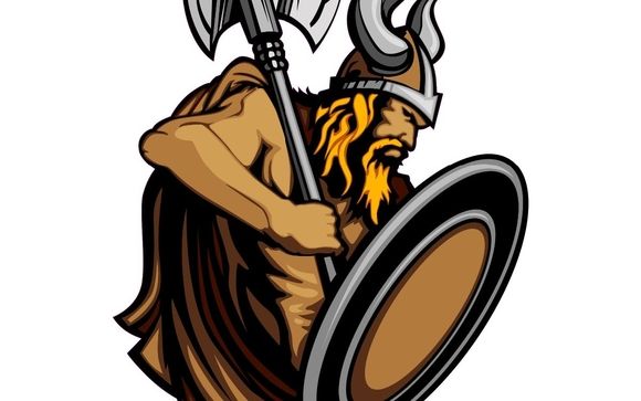 Pest Control Inspection by Viking Pest Defense