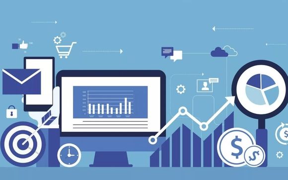 Web Design and Development by Branched Roots