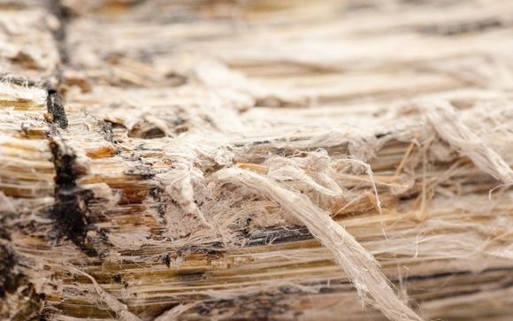 Asbestos Testing By Elite Environmental Consulting Of Southern