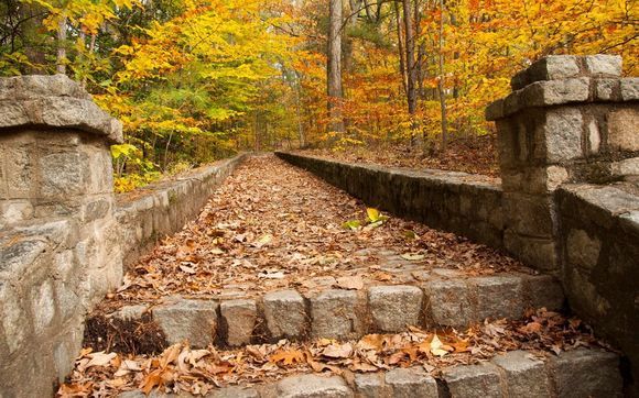 Collaborative Family Law by Darcy A. Shoop, LLC