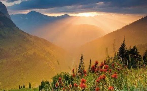 Mediation by Darcy A. Shoop, LLC