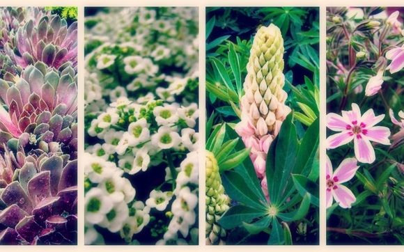 Garden Center by GreenScapes Garden Center & Landscape Co., Inc.