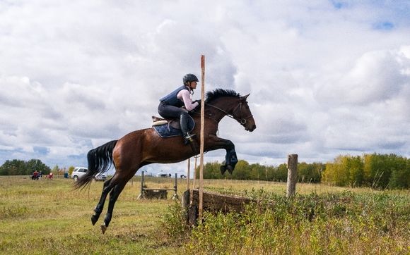  Riding Lessons by Valley Equestrian Centre
