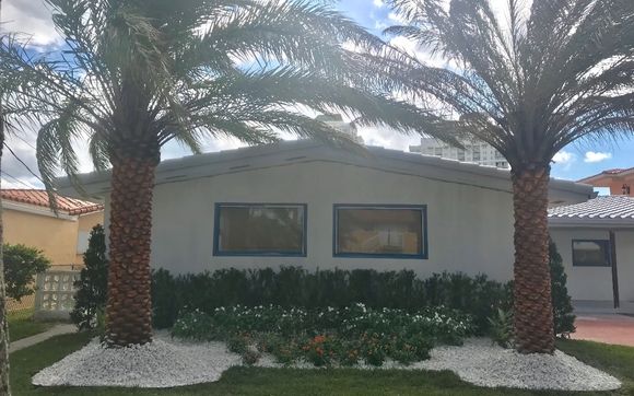 Tree Service in Pembroke Pines, FL - Tree Removal and Trimming