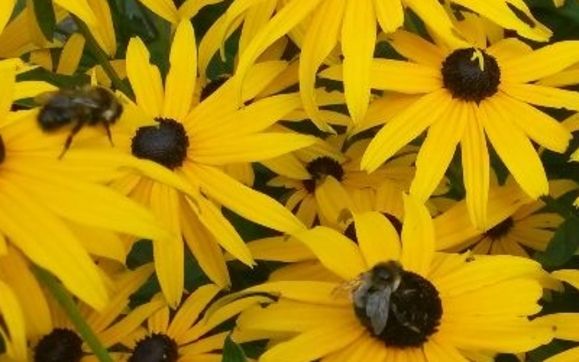 Wellness - Change your shopping habits  - Join the MOVEMENT!!!  by Good Health-Long Life- Wellness