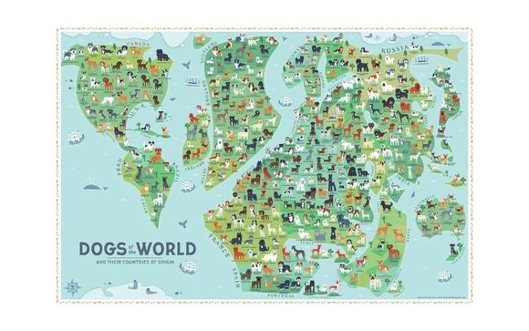 Dogs of the World! - A print for dog nerds. by Doggie Drawings