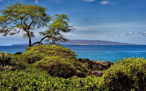 Maui Real Estate  by Maui Real Estate - The Smith Team