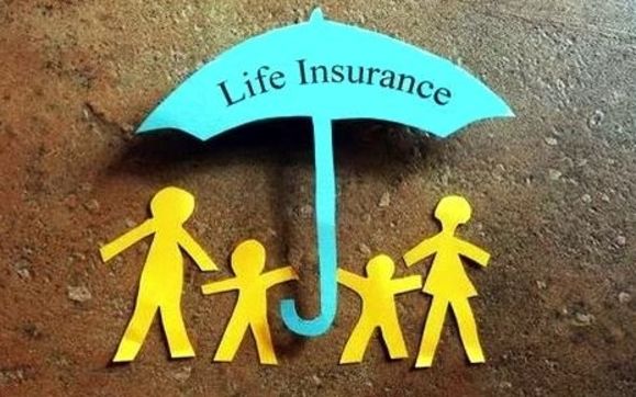 IRS and DOL Insurance Compliance Requirements by Rhino