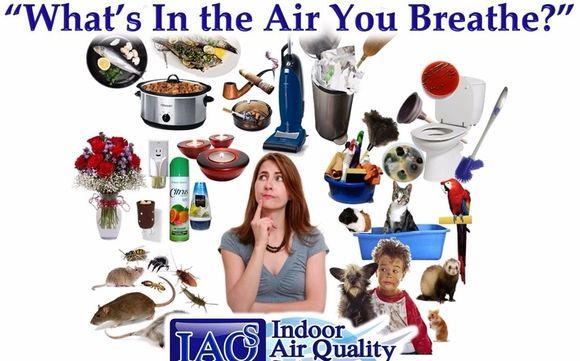 Indoor Air Quality Assessment by Indoor Air Quality Solutions, IAQS