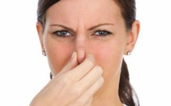 Odor investigation by Indoor Air Quality Solutions, IAQS