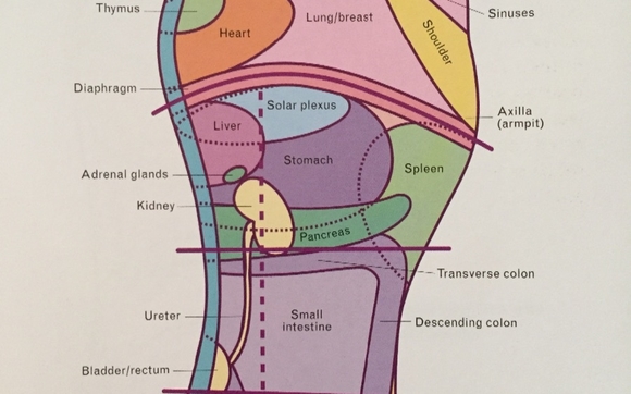 Reflexology and Rejuvenation Studio by Reflexology and Rejuvenation in ...