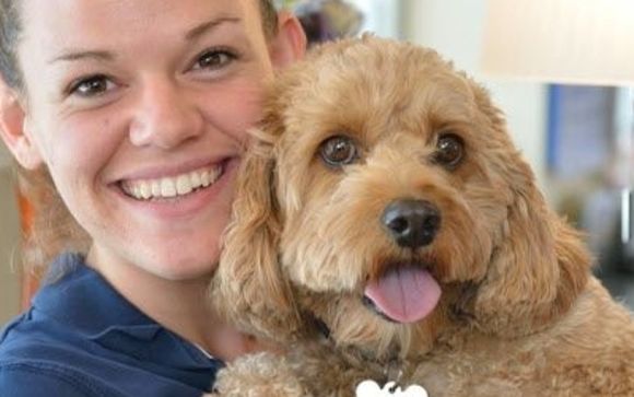 Dog and Cat Boarding by Toureen Pet Resort and Spa