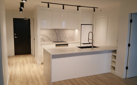 Condo renovation project by 21 Renovations