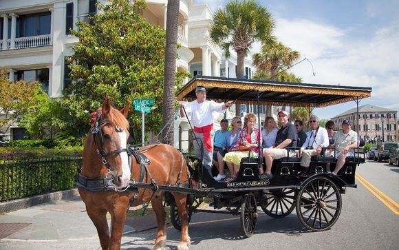 Old south carriage store rides