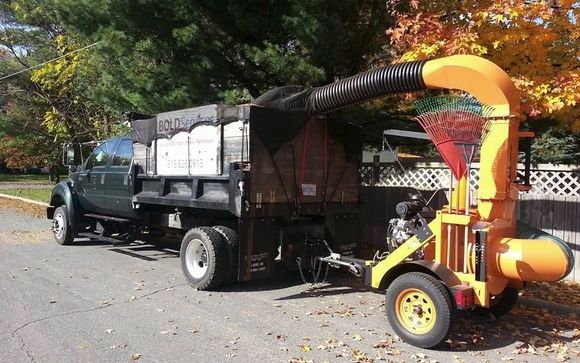Lawn clean up by Bold Services, Inc