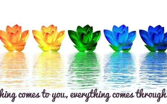 Reiki by Titan's Touch Canine Massage