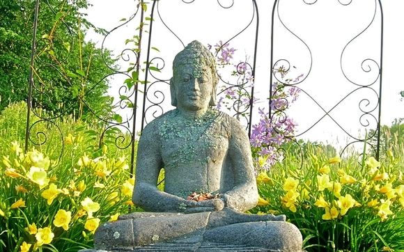 Counseling and Meditation Instruction by Rebecca Wing at The Mindfulness Center of Maine