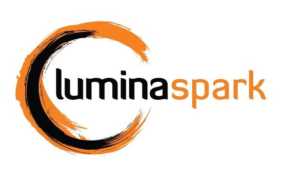 Lumina Spark Assessment for Professionals and Teams by Dayana Cabeza Executive Coaching and Career Mentor