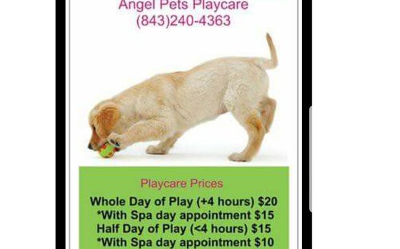 playcare pets