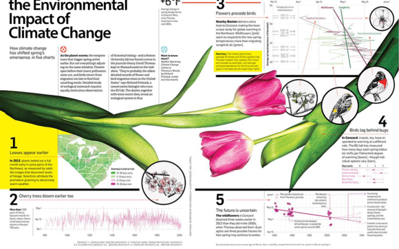 Infographics by Learning visuals