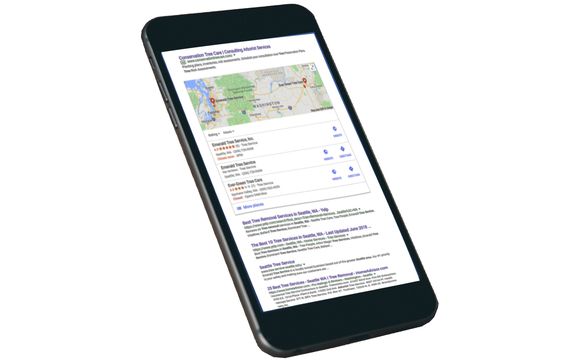 Google Review Management - 50% off for Alignable members by Wind River Promotions
