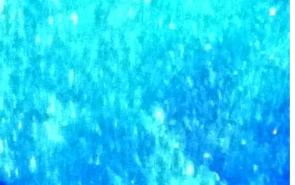 Bottled Water, Water Softeners and Iron Filtration, American made Well Pump and motors. by The Water Store