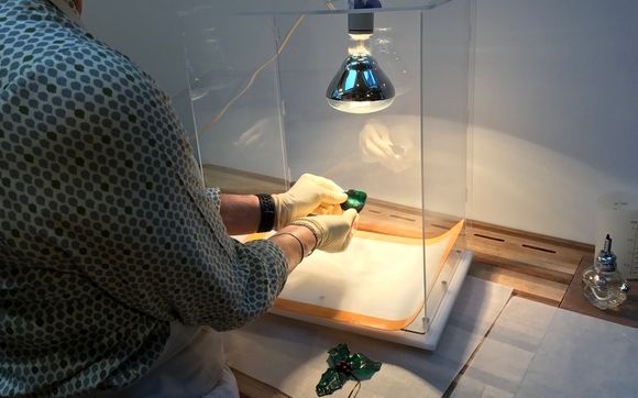 The Sugar Shack by CakeSafe, LLC