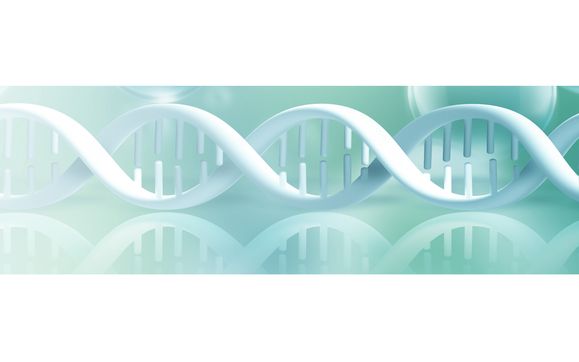 Universal Integration by SourceLight Integrations