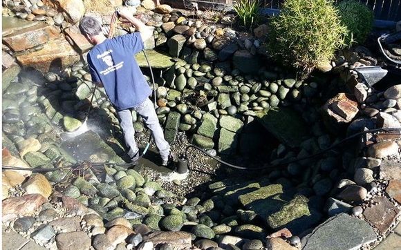 Complete pond services by Austin's Wet Pets and Lily Pad