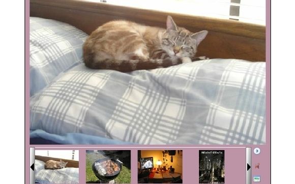 Flash Photo Galleries by Webs Divine