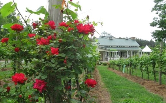 Arcady Vineyard Bed And Breakfast - Charlottesville - Alignable