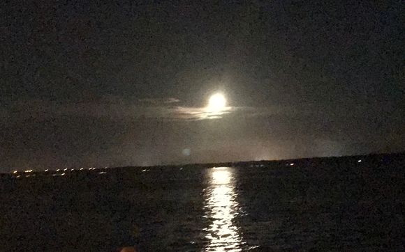 David Gum by A Unique Entertainment, Inc