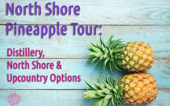 North shore Pineapple Tour by Akina Tours & Transportation/ Bus Service