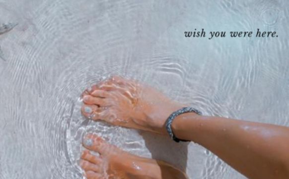 Travel Agency by Tracy Wilbeck - Acendas Travel 