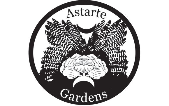 Design by Mountain Hollow Medicinals LLC