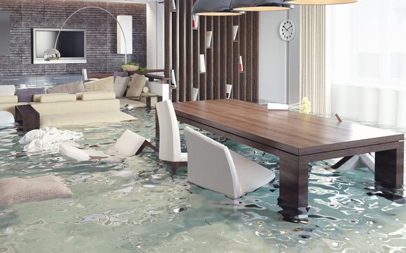 Water damage drying and clean-up by Restoration Services of Michigan