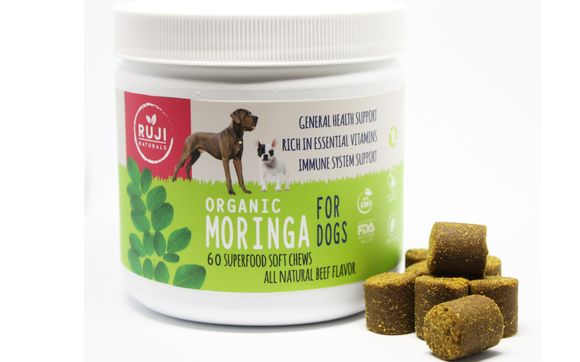 moringa dog treats