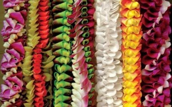 Fresh Hawaiian Leis By Aloha Hawaiian Flowers And Ts In Kailua Kona Hi Alignable 