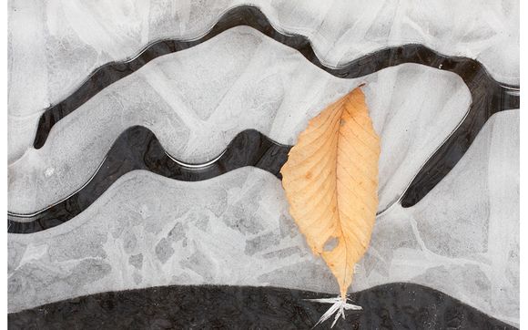 Fine art prints by Tom Whelan Photography