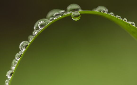 Image licensing by Tom Whelan Photography
