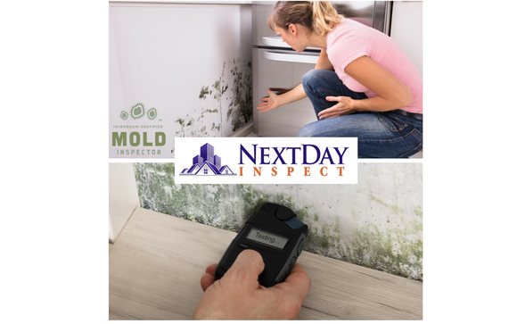 Mold & Moisture Evaluation by NextDay Inspect