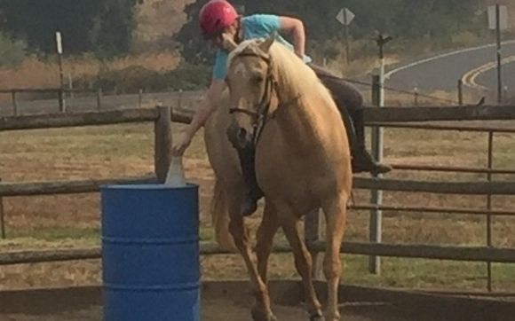 Horseback Riding Lessons by European Riding Academy
