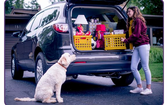 COLLEGE BOUND by Your Driving Team