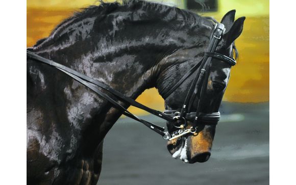 Dressage Training by Pine Hill Farm